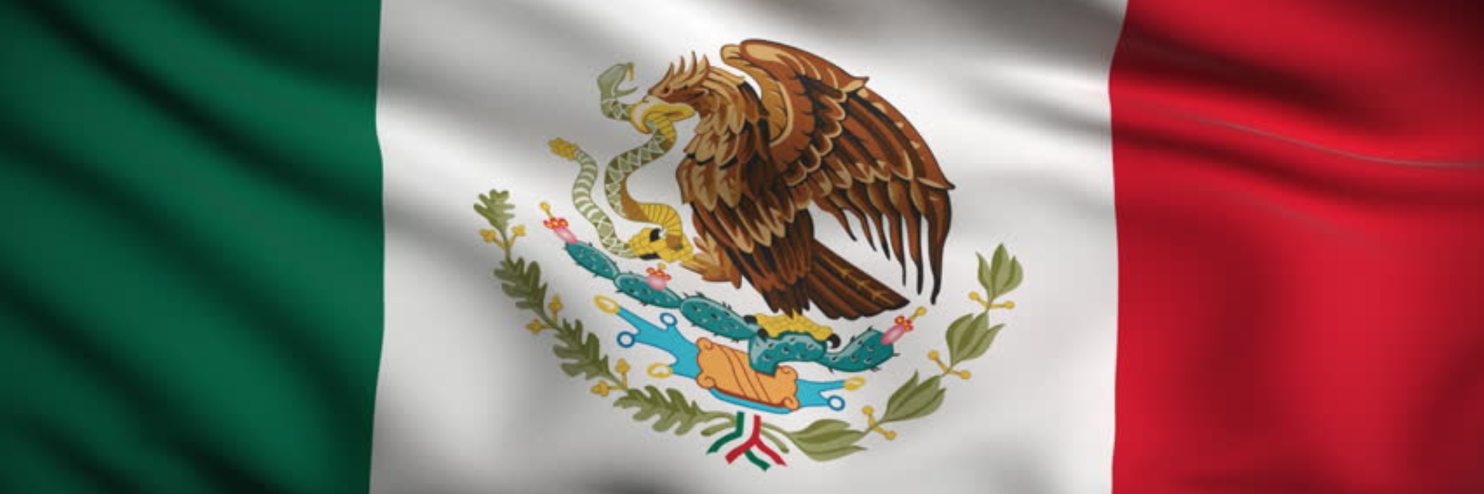 The Mexico Legal Lexicon